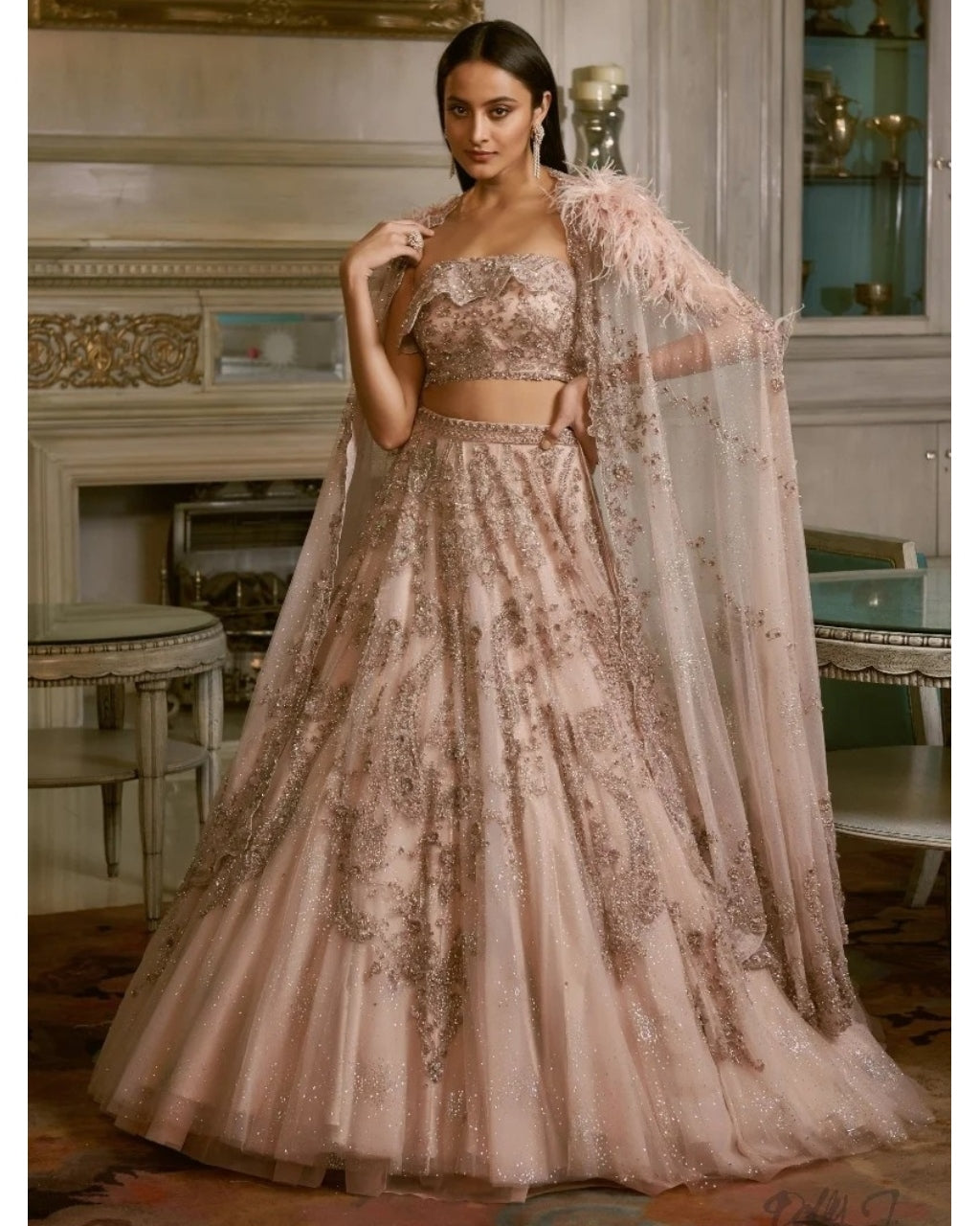 Ilina Shimmer Tulle Lehenga Set