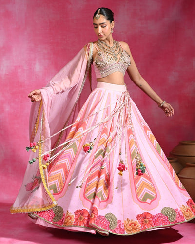 Mehar Tassel Lehenga Set