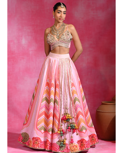 Mehar Tassel Lehenga Set