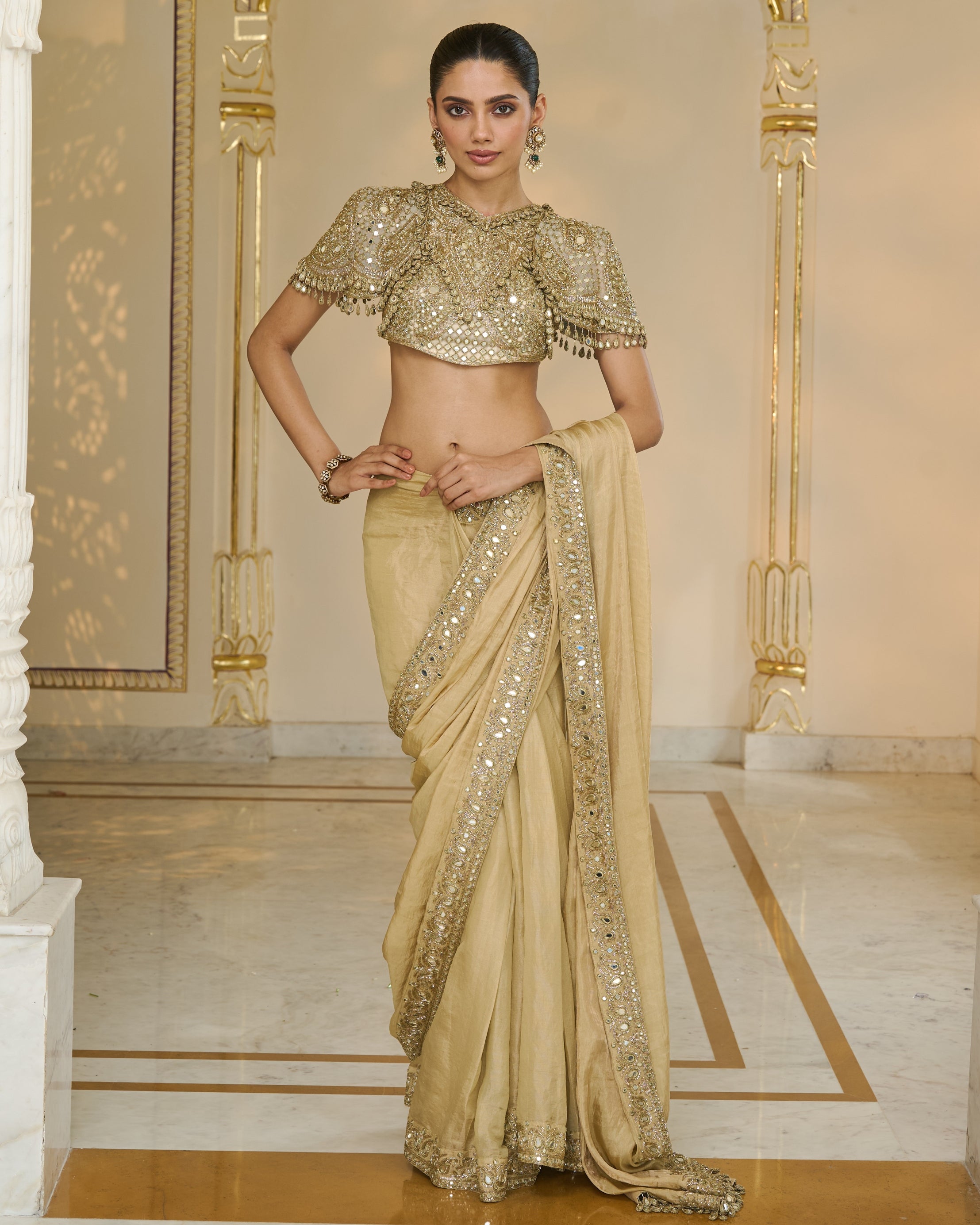 Gold Tissue Classic Sari With Hand Embroidered Blouse