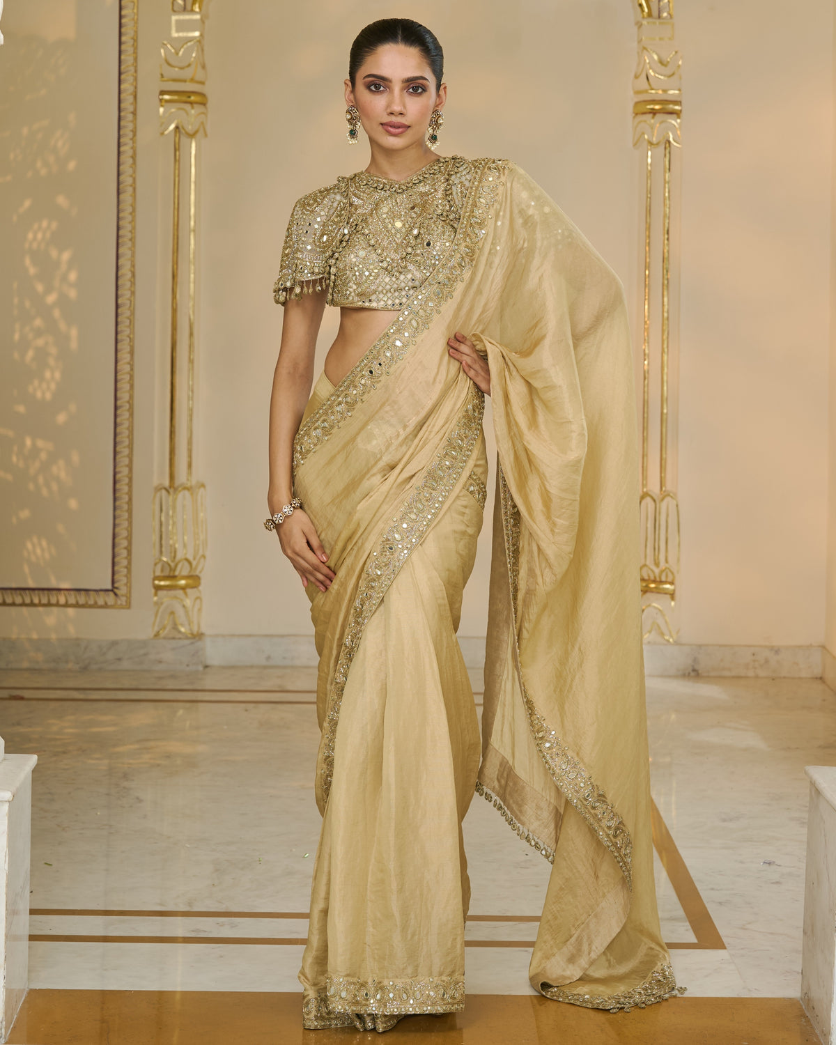Gold Tissue Classic Sari With Hand Embroidered Blouse