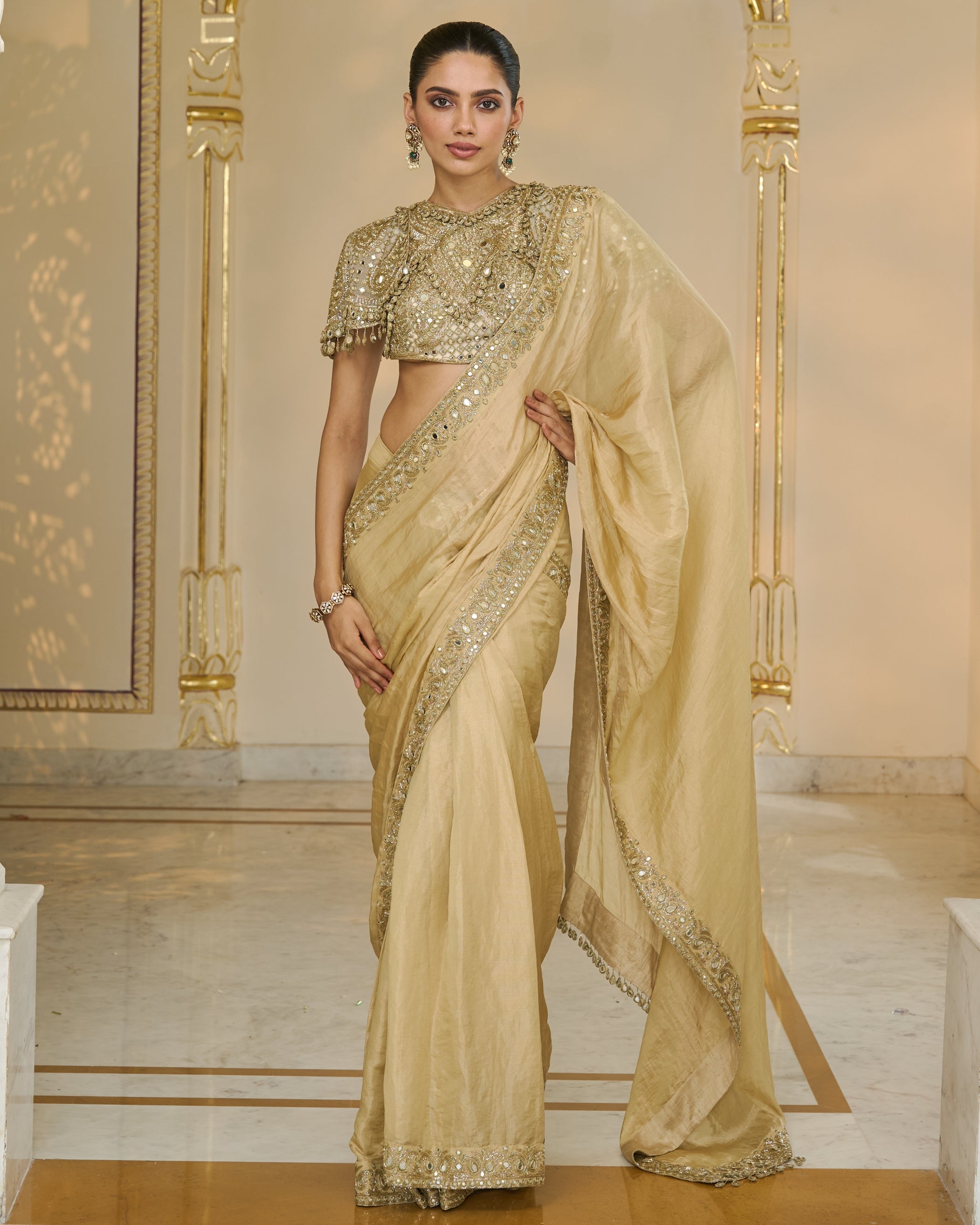Gold Tissue Classic Sari With Hand Embroidered Blouse