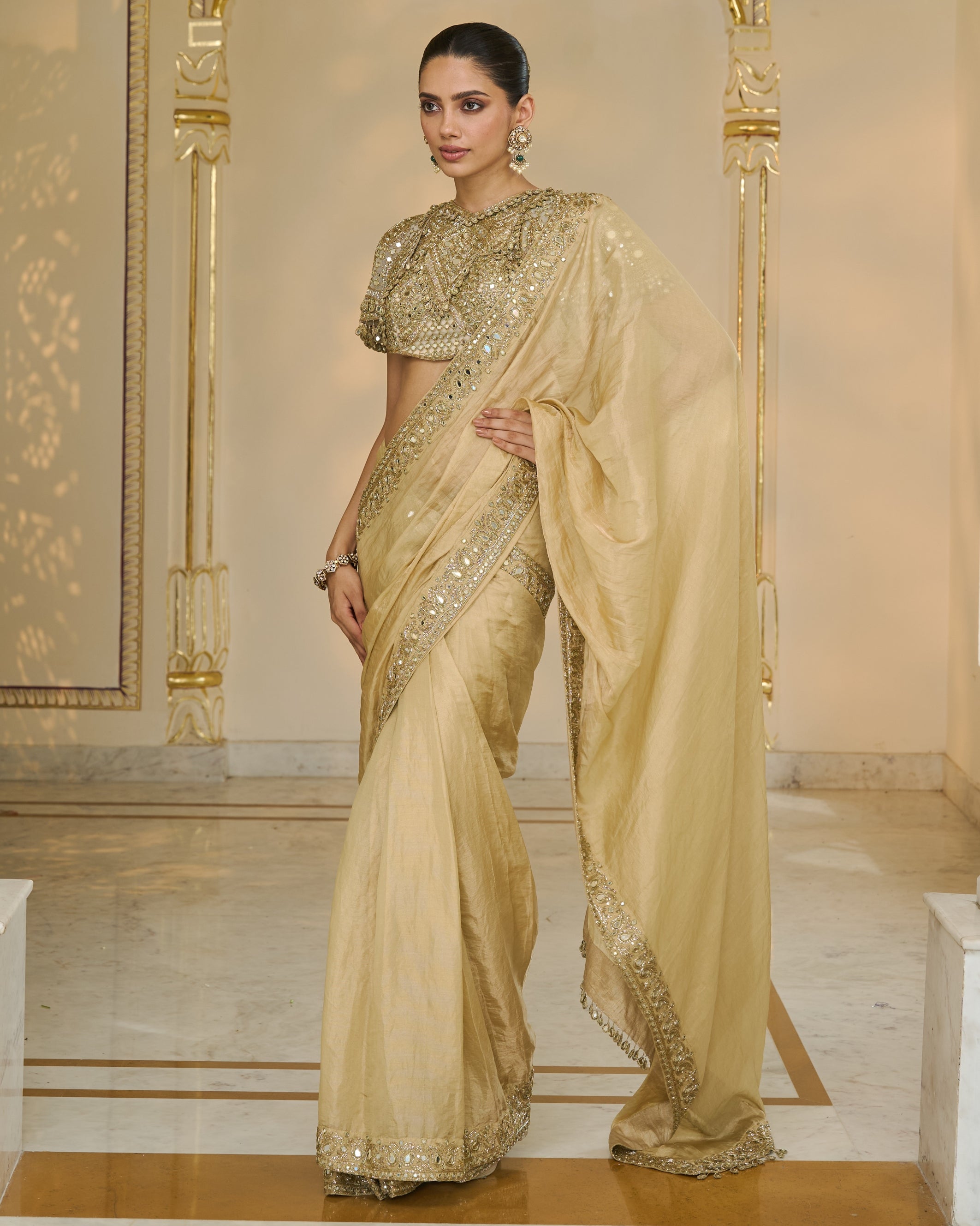 Gold Tissue Classic Sari With Hand Embroidered Blouse