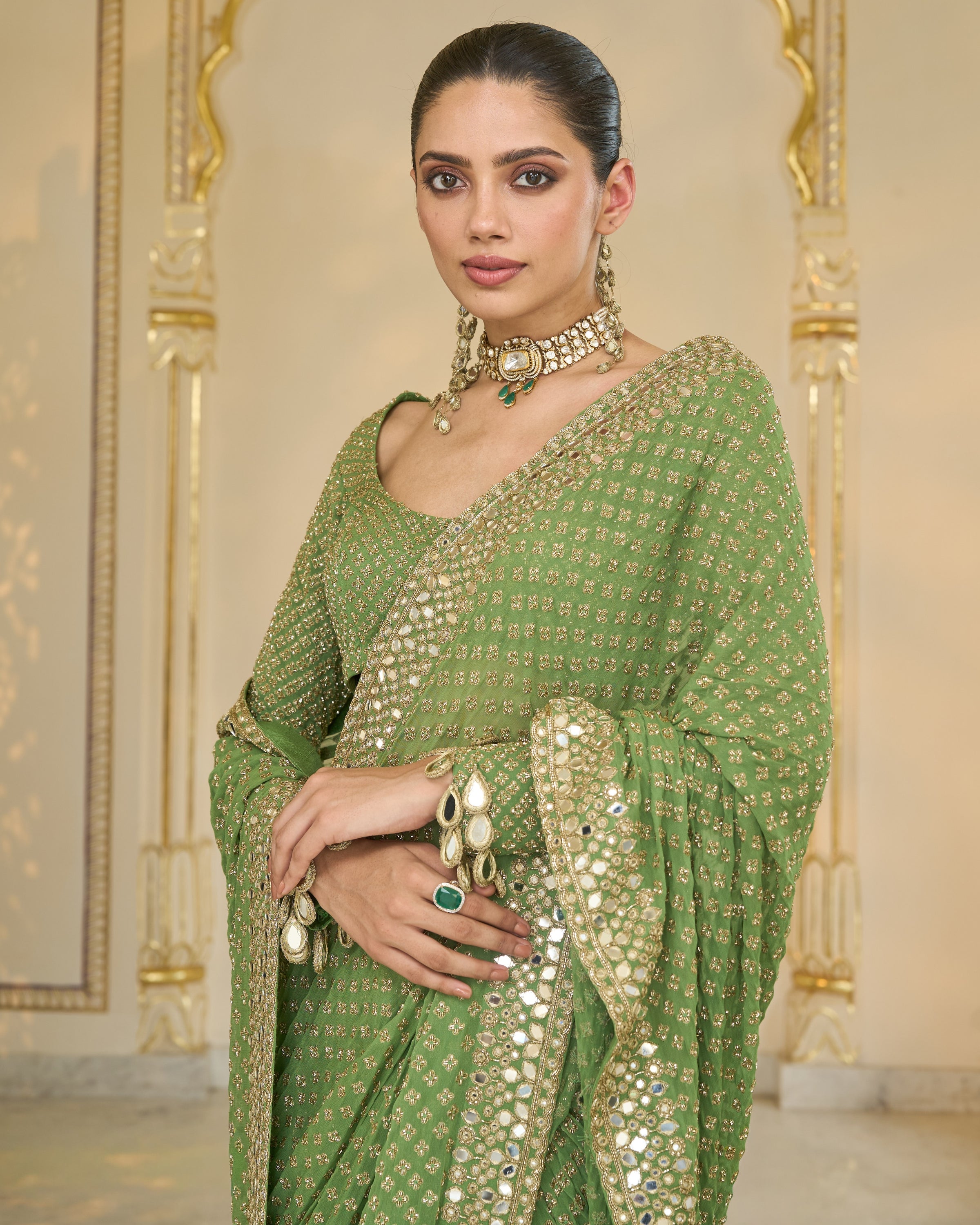 Warm Olive Shand Embroidred Star Sari Set