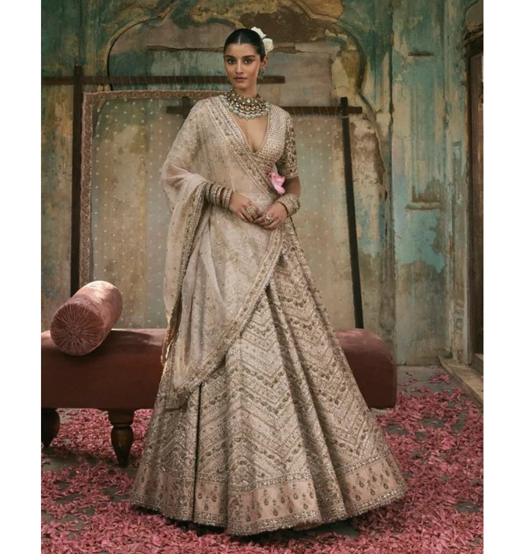 Chevron Lehenga With Jaal Sleeve Lehenga Set