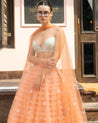 Ombre Tulle Lehenga by The Little Black Bow 