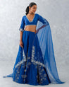Blue Floral Embroidered Silk Lehenga Set | Devnaagri