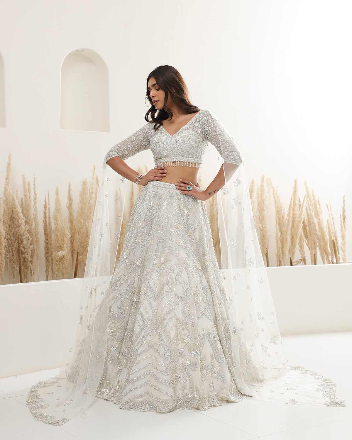 Moonlit Lehenga Set