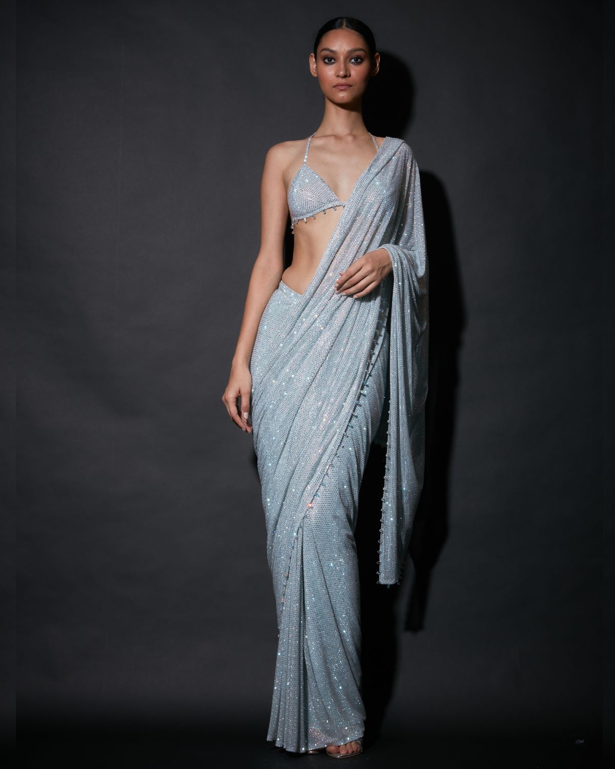 Sheer Luxury Sari